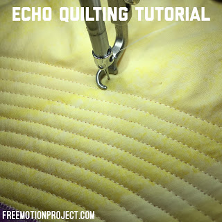 Echo Quilting Tutorial Sit Down Longarm Quilting