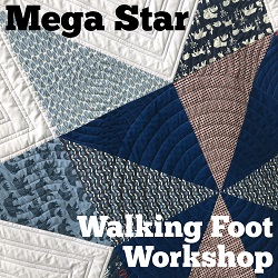 Mega Star Walking Foot Workshop