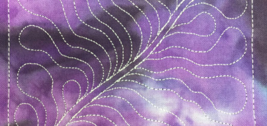 Home machine quilting deranged feather design