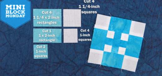 Duck and Ducklings Quilt Block Patchwork Pieces